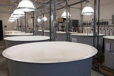 Interior view of AWRI's current mesocosm facility in Muskegon.